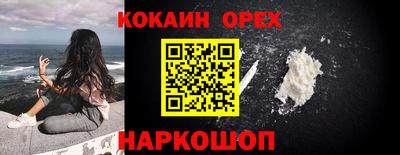 ПСИЛОЦИБИНОВЫЕ ГРИБЫ Новозыбков