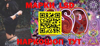 тгк Новодвинск
