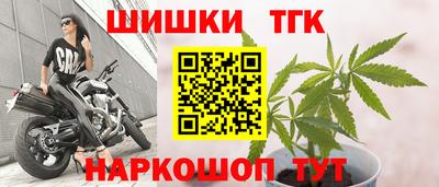тгк Новодвинск