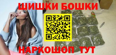 тгк Новодвинск