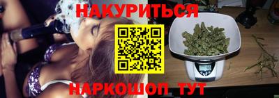тгк Новодвинск
