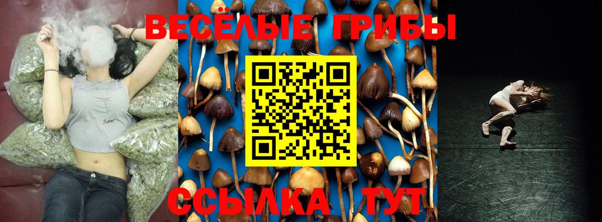 Самара  Галлюциногенные грибы GOLDEN TEACHER  Галлюциногенные грибы мицелий  Вход с VPN 